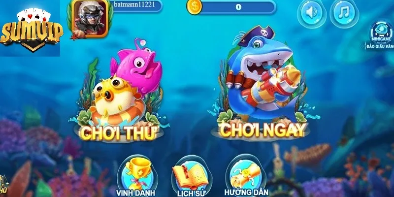 Lưu ý khi tìm cách vào SUMVIP