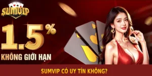 Giải đáp thắc mắc: SUMVIP có uy tín không?